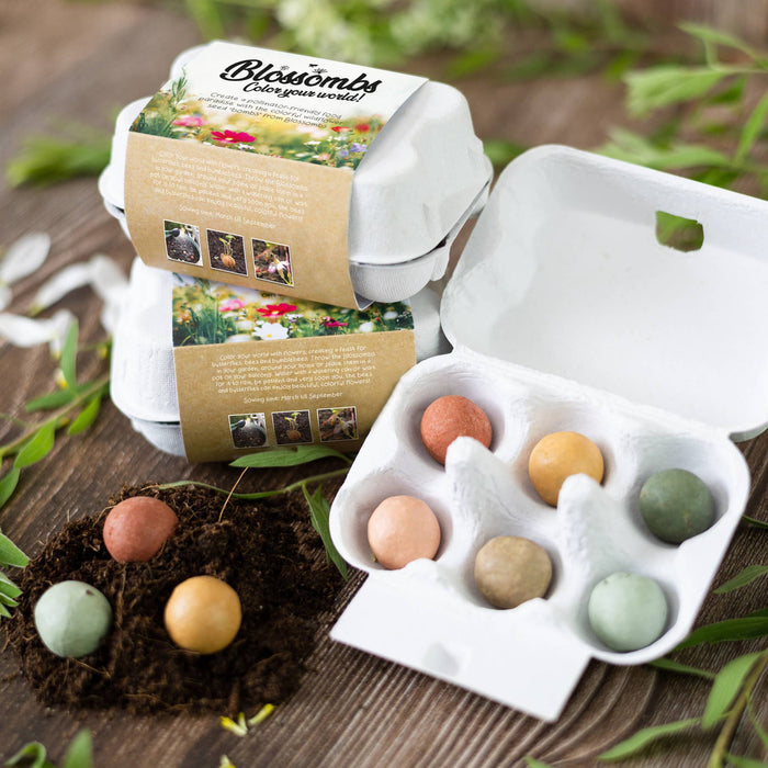 Flowers For You Egg Carton – Spring Wildflower Gift