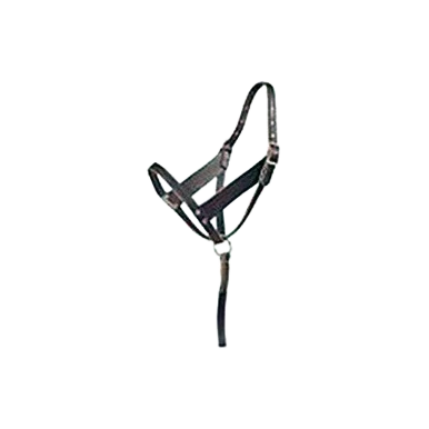 Foal Halter,"Adjustable halter with cheek straps and lead"