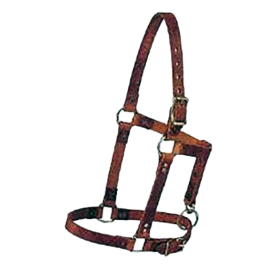 Horse Halter,"Brown patterned halter with metal buckles"