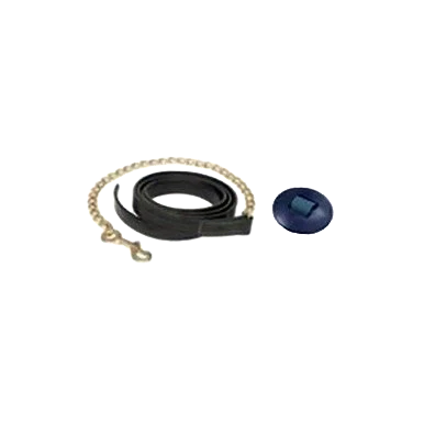 Leather Lead Shank,"Coiled black strap with chain and blue round insert"