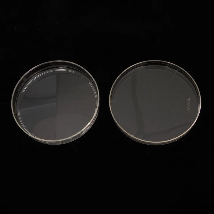 Petri Dish 100x15mm,"Two clear petri dish halves side by side"