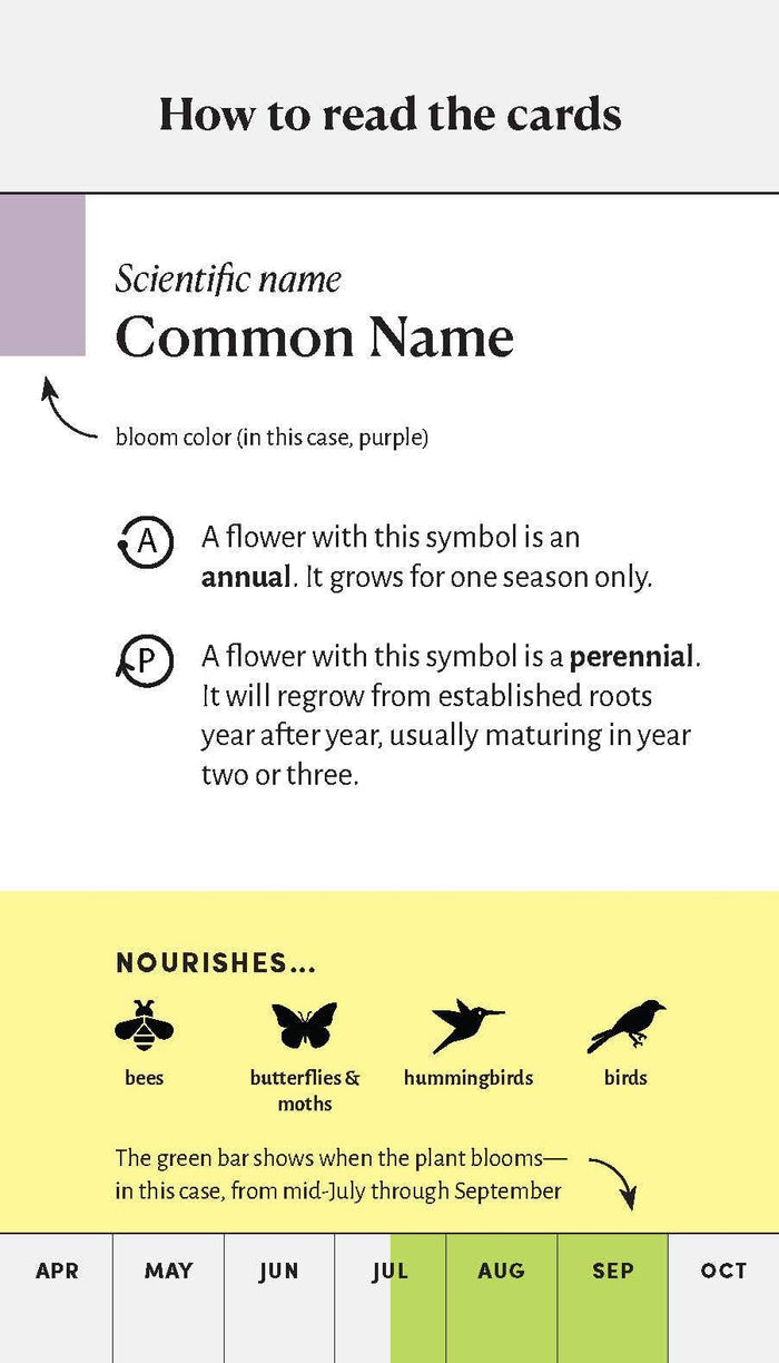 Pollinator Garden Planning Deck